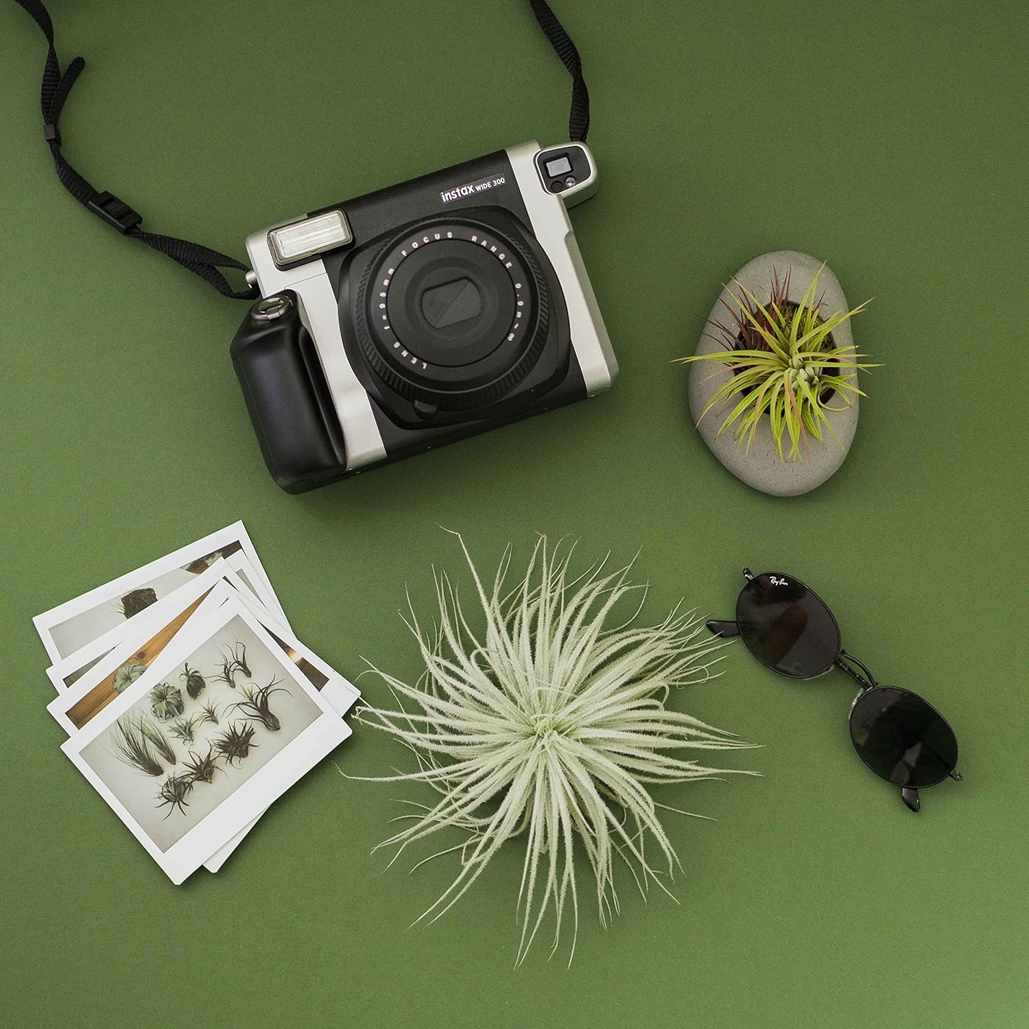 Air Plant Shop 5 Pack Rare Tectorum Ecuador Air Plants - Unique, Bright White, Nursery-Grown Tillandsia House Plant with Fuzzy Trichomes for Terrariums, Driftwood & Living Walls - Wholesale