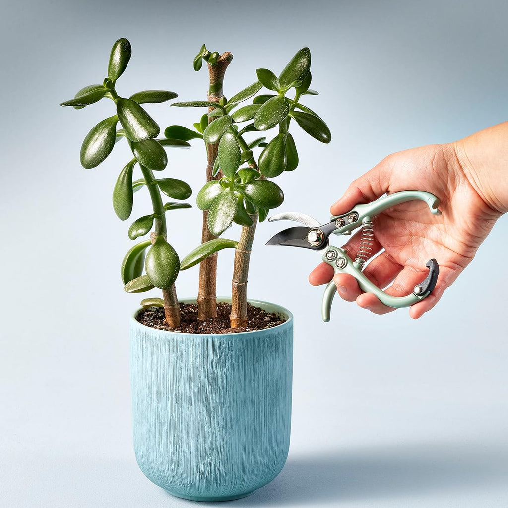 Modern Sprout Hand Pruners - Lightweight Pruning Shears W/Easy Lock- Gardening Scissors - Bypass Sharp Carbon Steel Blade - Rust Resistant - Garden Tools - Reusable Holster - Green
