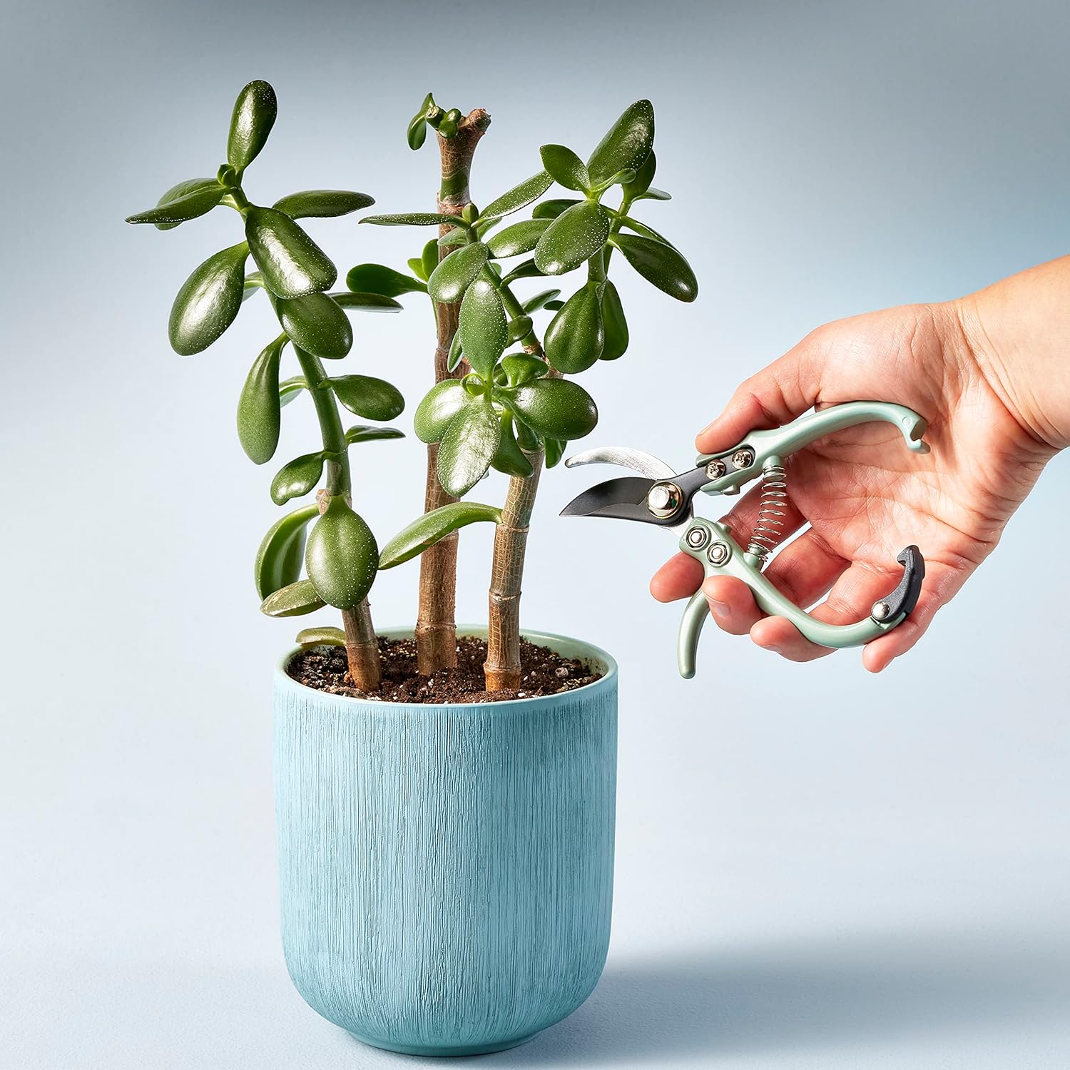 Modern Sprout Hand Pruners - Lightweight Pruning Shears W/Easy Lock- Gardening Scissors - Bypass Sharp Carbon Steel Blade - Rust Resistant - Garden Tools - Reusable Holster - Green