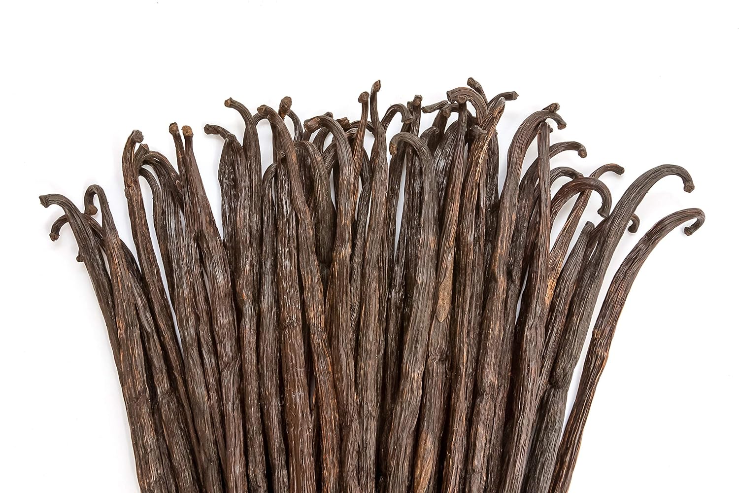 1 LB Vanilla Beans - Whole Extract Grade B Pods for Baking, Homemade Extract, Brewing, Coffee, Cooking - 16 Ounces | (Tahitian)