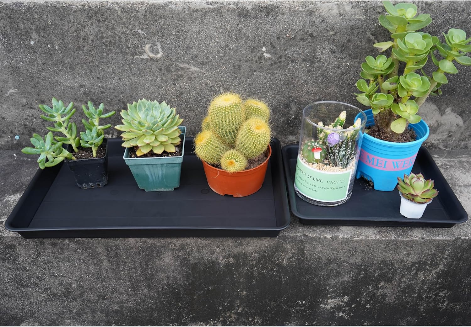 4 Pack Plant Saucer Tray Rectangular, Plant Growing Nursery Trays, Heavy Sturdy Seed Starting Trays, Plants Starter Saucers for Indoors No Holes, Seed Starter Growing Tray (17.5"x10.6", Black)