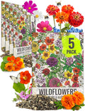 Seed Needs Wildflower Seeds Hummingbird and Butterfly Seed Mix | 5 Packs (1 Ounce Each) No Filler 23 Varieties Garden Seeds Annual & Perennial Species | Pollinator Attracting Flower Seed | Bulk